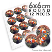 6cm Round Custom Edible Printed Image