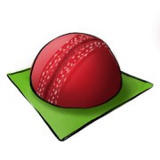 Cricket Ball