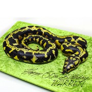 3D Snake Cake