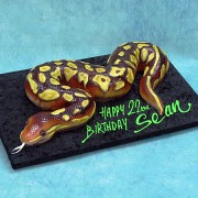 3D Snake Cake