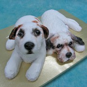 3D Double Dog Cake