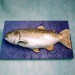 3D Salmon Fish Cake