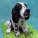 3D Spaniel Dog Cake
